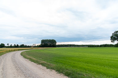 heibloem-akker-koren-landbouw-002.jpg heibloem-akker-koren-landbouw-002.jpg