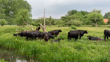 Horn-Stockxhof-004.jpg