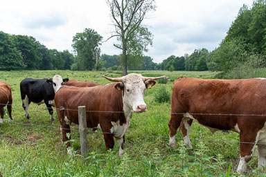 Horn-Stockxhof-011.jpg