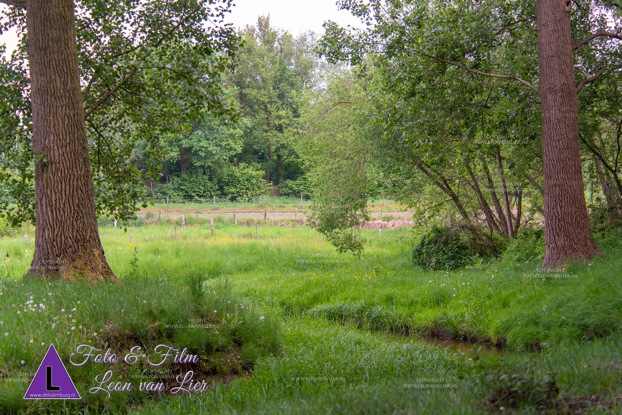 beek-brugstraat-roggel-001.jpg