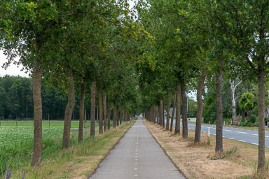 Wegenbouw-wegaanleg-asfalteren-019.jpg