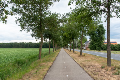 Wegenbouw-wegaanleg-asfalteren-021.jpg