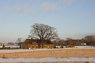 sneeuw-roggel-035-20150124.jpg sneeuw-roggel-035-20150124.jpg