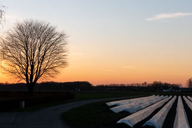 sunset-001.jpg sunset-001.jpg