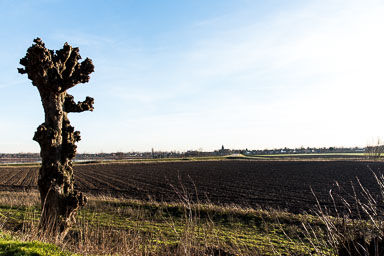 Ohe en Laak in de verte Stevensweert-Molenplas-010.jpg