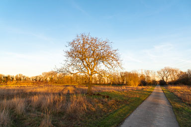 Kasteel Walburgh ohe-en-laak-eo-101.jpg