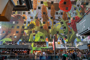 Rotterdam-markthal-005.jpg