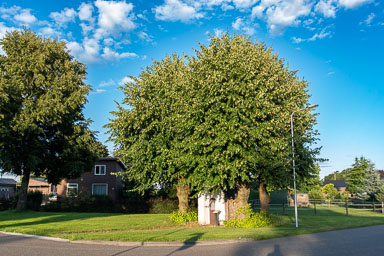Roggel-Antoniuskapel-001.jpg
