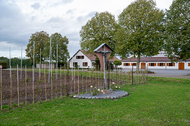 Wegkruis-Roligt-7-Roggel-001-2026.jpg