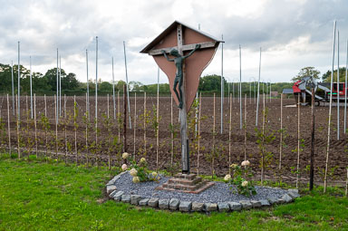 Wegkruis-Roligt-7-Roggel-003-2026.jpg