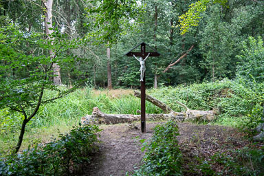 Wegkruis-bos-ontginning-Heibloem-002-2026_v1.jpg