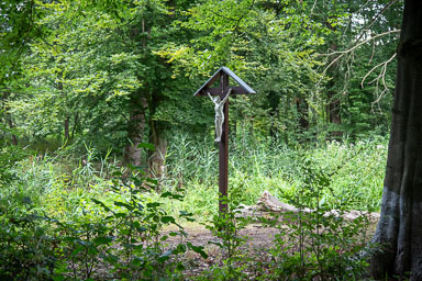 Wegkruis-bos-ontginning-Heibloem-003-2026.jpg
